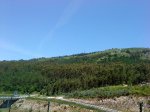 DSC00104.jpg