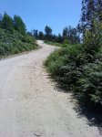 DSC00108.jpg