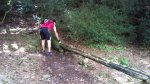 DSC00106.jpg