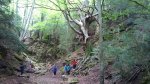 DSC00102.jpg
