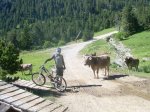 enduro 078.jpg