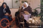 abuelas01.jpg
