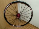 DSCF6100.jpg