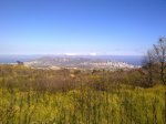23062010089.jpg