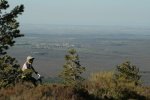 mirador.jpg