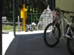 IMG_2289.jpg