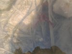 Foto0188.jpg