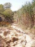 P6250069 - copia.jpg
