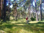 Foto10.JPG