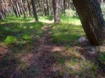 Foto13.JPG