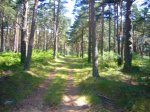 Foto6.JPG