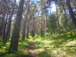 Foto12.JPG
