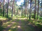 Foto8.JPG