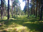 Foto9.JPG