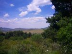 Foto21.JPG
