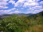 Foto23.JPG