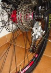 DSC07515.JPG