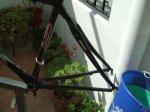 DSCF1008.JPG