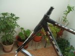 DSCF1009.JPG