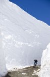 whistler.jpg