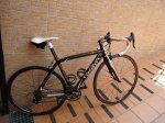 dogma 001.jpg