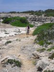 Menorca2010tiratira 063.jpg