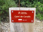 Menorca2010tiratira 050.jpg