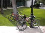 DSCN0059.JPG