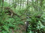 DSC06371.jpg