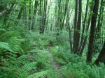 DSC06386.jpg