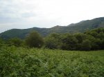 DSC06367.jpg