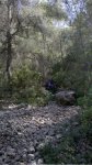 2010-06-26_11-22-32_870.jpg