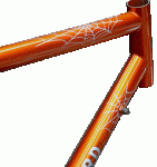 samplespider.gif