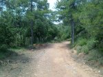 26062010867.jpg