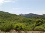 26062010869.jpg