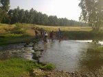 26062010029.jpg