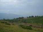 DSC06408.jpg