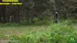 noruego118_1024x575.jpg