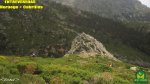 noruego114_1024x575.jpg