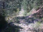 masella movil 008.jpg