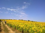 27062010147.jpg