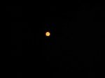 IMG_1917_1024x768.jpg