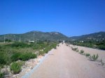 27062010_004.jpg