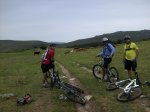 IMG_0242.jpg