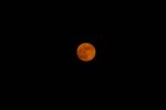 IMG_0145.JPG