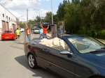 DSC00223.jpg