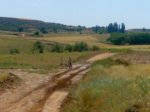 27062010095.jpg