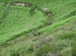 IMG_9382.JPG