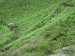 IMG_9381.JPG