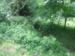 IMG_9397.JPG